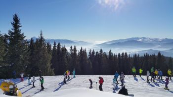 ogrody geyera, zlot foodtrucków, profesjonalna organizacja eventów