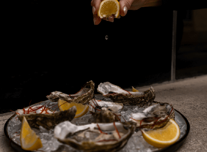 masoch cafe hotel, hotel we lwowie, sexy hotel