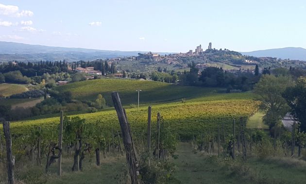 TOSKANIA, WYCIECZKA RELAKSACYJNA, TURYSTYKA KULINARNA WŁOCH